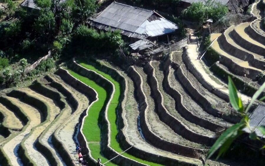 From Sa Pa: 5-Hour Muong Hoa Valley Trek and Ethnic Tribes - Pickup, Transport, And Why Timing Changes Everything