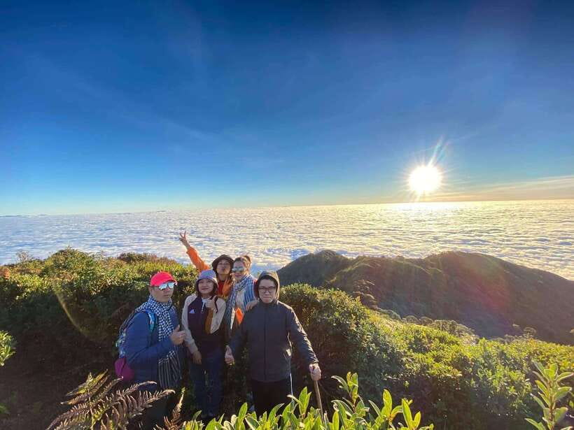 From Sa Pa: Full Day Trek of Fansipan Mountain - Bamboo and rain forest trekking: what the trail feels like