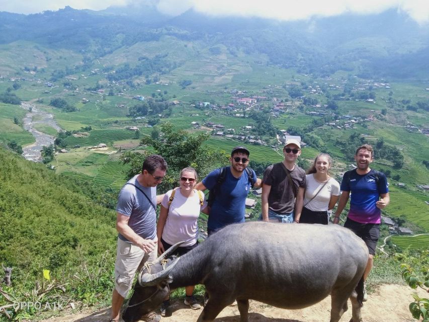 From Sapa : 1 Day Amazing Sapa Trek To Terrace rice field - Entering Sapa Town: the start that sets the tone