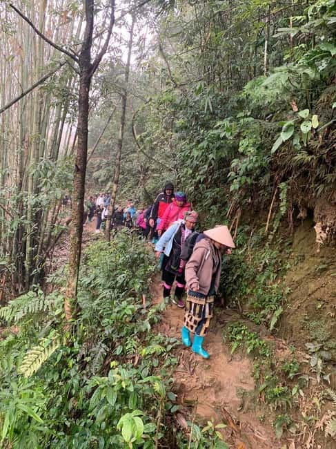 From Sapa : 1 Day Amazing Sapa Trek To Terrace rice field - Terrace-by-terrace walking and a waterfall pause