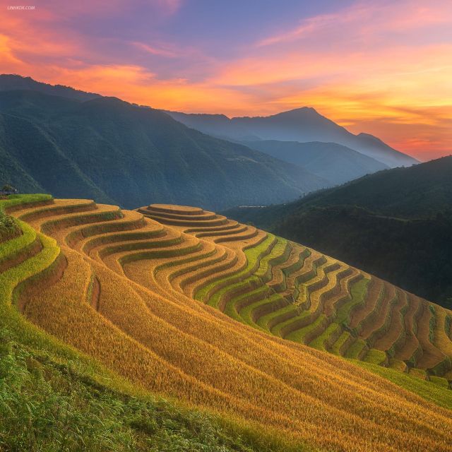 From Sapa: 1-Day Guided Trek to Lao Chai & Ta Van with Lunch - Rice terraces and two minority villages in one guided day