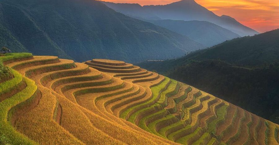 From Sapa: 1-Day Guided Trek to Lao Chai & Ta Van with Lunch - The Muong Hoa–Y Linh Ho stream walk to Lao Chai