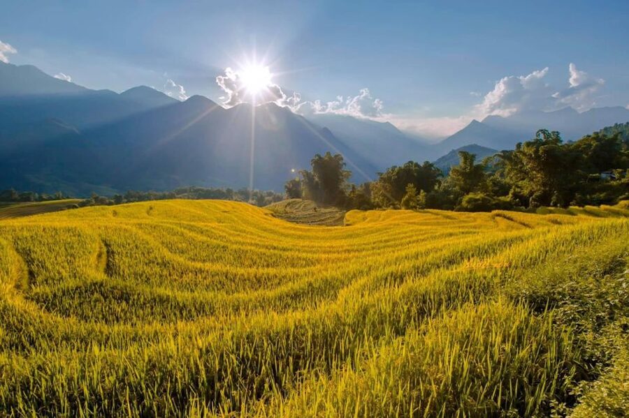 From Sapa: 1-Day Guided Trek to Lao Chai & Ta Van with Lunch - Price and value: is $34 fair for Sapa?