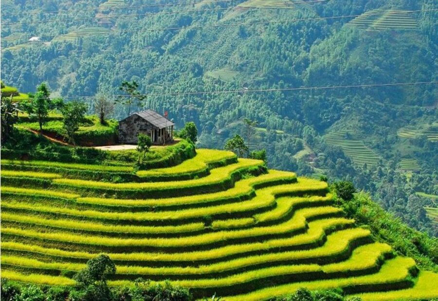 From Sapa: Full-Day Trekking Tour Lao Chai & Ta Van Villages - Quick hits before you go