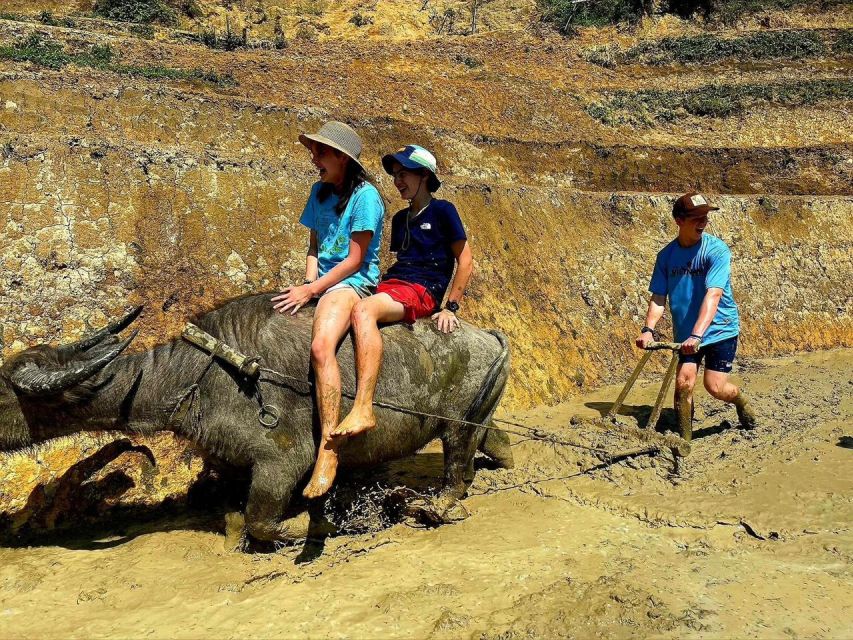 From Sapa: Full-Day Trekking Tour Lao Chai & Ta Van Villages - Entering Sapa on the right track: pickup, timing, and what the day feels like