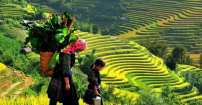 From Sapa: Full-Day Trekking Tour Lao Chai & Ta Van Villages - From Y Linh Ho to the Muong Hoa Valley: the part where you earn your photos