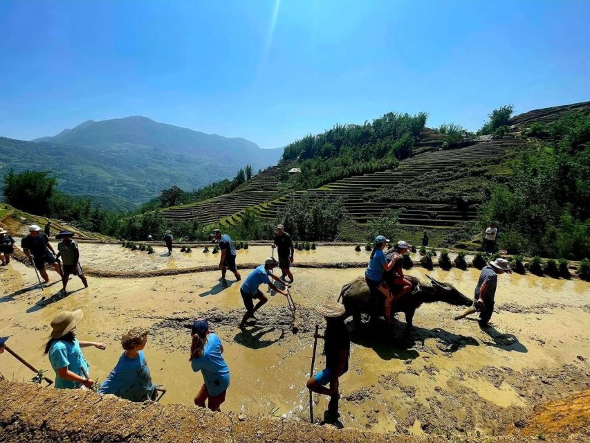 From Sapa: Full-Day Trekking Tour Lao Chai & Ta Van Villages - Ta Van Village: stilt houses, terrace views, and a calmer rhythm