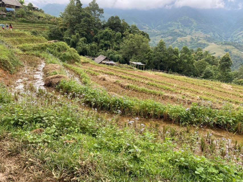 From Sapa: Full-Day Trekking Tour Lao Chai & Ta Van Villages - English guide + small group: what that changes for your experience