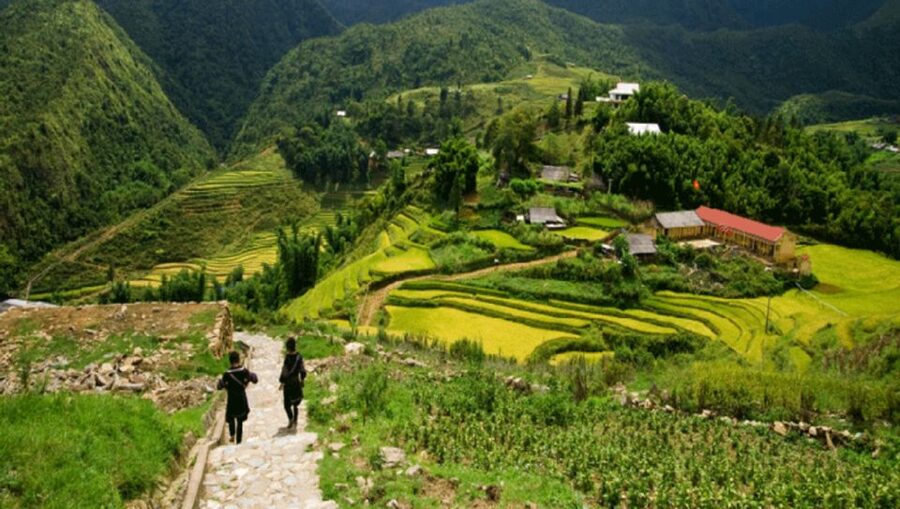 From Sapa: Full-Day Trekking Tour Lao Chai & Ta Van Villages - Price and value: why this $23 trek can be a smart use of a Sapa day