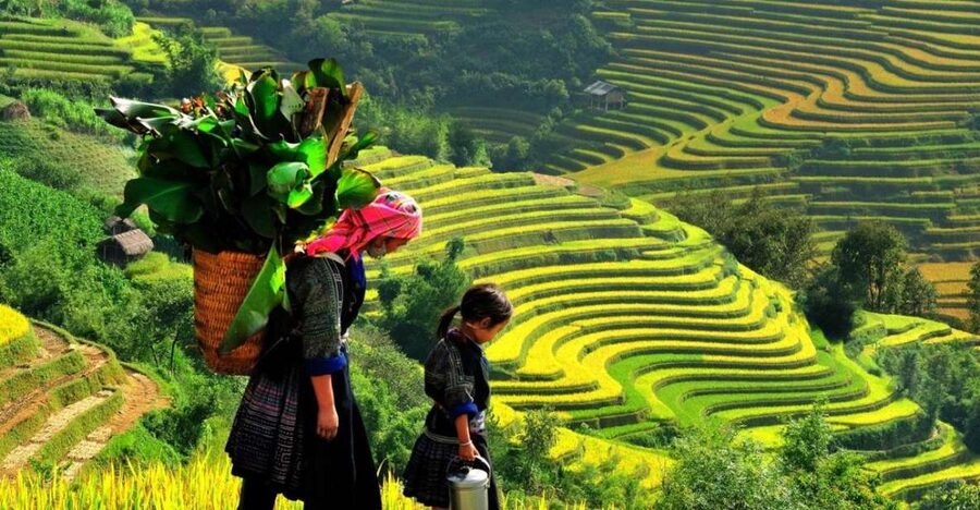 From Sapa: Full-Day Trekking Tour Lao Chai & Ta Van Villages - From Y Linh Ho to the Muong Hoa Valley: the part where you earn your photos