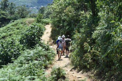 From Sapa: Muong Hoa Valley View & Village Trek 1-Day - The Route: Sa Seng, Ham Rong, and a Long Morning of Climbing