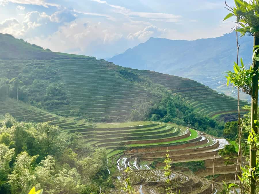 From Sapa: Sapa Trekking Private Tour With Female Guide - The difference between Black Hmong and Red Dao, explained for real humans