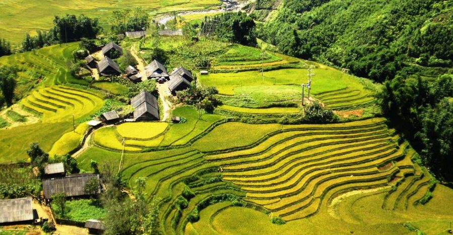 From Sapa: Terrace Fields and Local Villages Trek with Lunch - Meeting Your Guide in Sapa Town (And Why That First Stretch Matters)