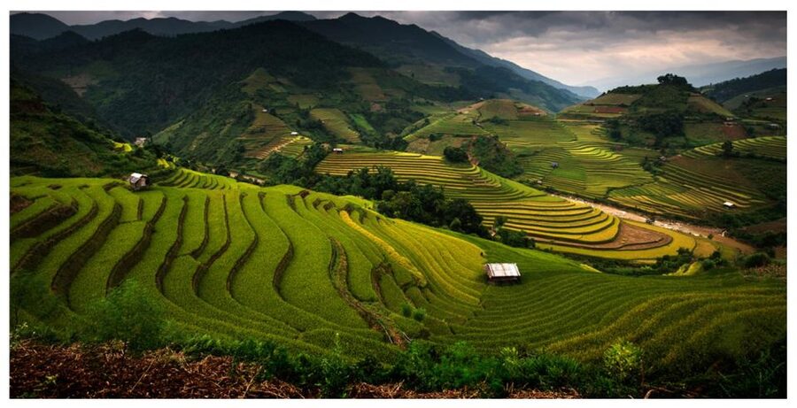 From Sapa: Terrace Fields and Local Villages Trek with Lunch - Lai Chai Village and Sapa’s Ethnic Minority Life