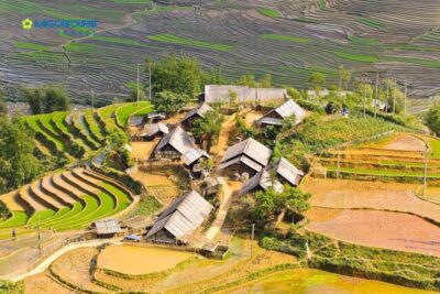 From Sapa: Terrace Fields and Local Villages Trek with Lunch - Hiking Beyond Sapa: Terraced Rice, Corn, and Potato Fields
