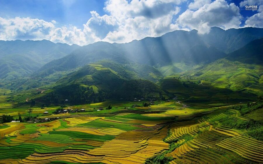 From Sapa: Terrace Fields and Local Villages Trek with Lunch - Lunch at a Local Restaurant: What’s Included (and What’s Not)