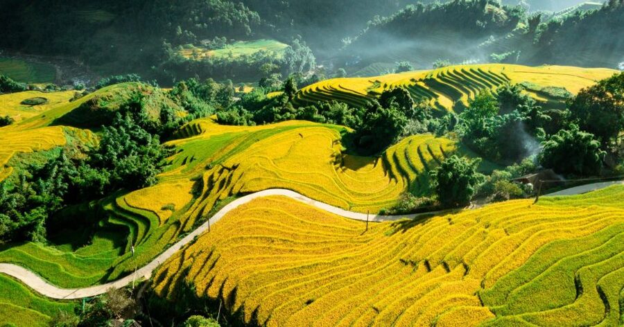 From Sapa: Terrace Fields and Local Villages Trek with Lunch - Who Should Book This Trek (and Who Might Skip It)