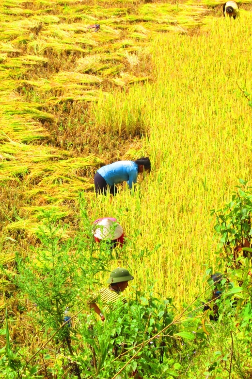 From Sapa: Waterfalls, Trekking and Tribal Villages Tour - From Sapa to the trailhead: how the day starts