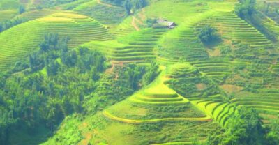 From Sapa: Waterfalls, Trekking and Tribal Villages Tour - Silver Waterfall, Love Waterfall, and Trạm Tôn Pass: where the photos happen