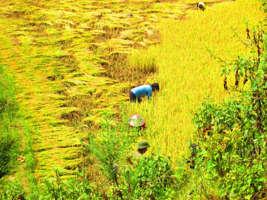 From Sapa: Waterfalls, Trekking and Tribal Villages Tour - Who should book this Sapa waterfalls and tribal villages trek