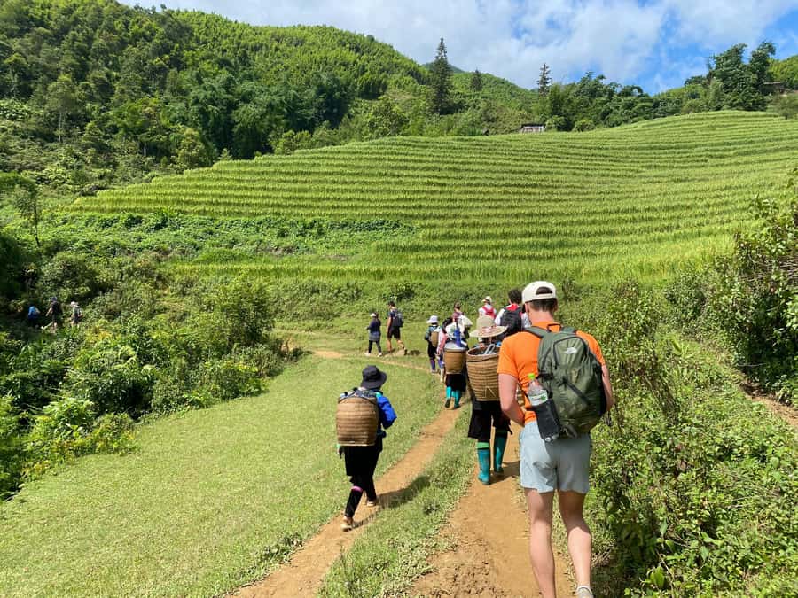 From Sapa: Y Linh Ho, Lao Chai & Ta Van Trek Day Tour - Key highlights you’ll actually care about