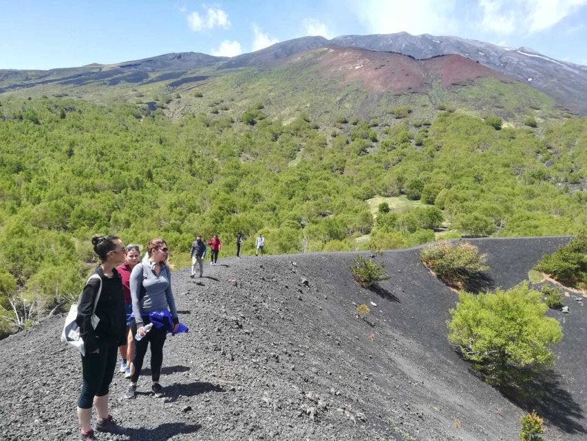 From Taormina: Half-Day Mount Etna Morning Trek - Ancient woods meets lava ground: what you’re actually walking on