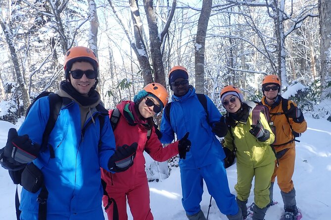 Frozen fall trekking - Hida-Osaka’s Frozen Waterfall: Why This Area Works in Winter