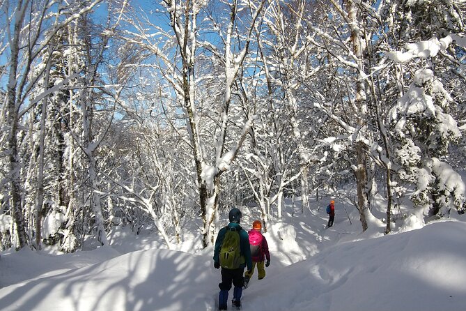 Frozen fall trekking - Lunch: What’s Available When You’re Off the Trail