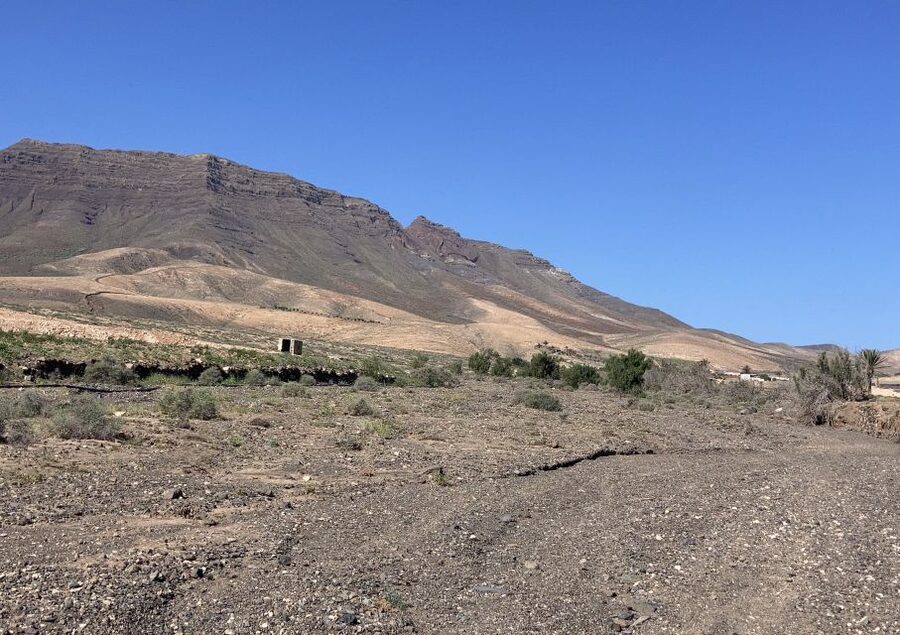 Fuerteventura: Guided Trekking Tour with Island Goats - Panoramic Desert Views: When the Reward Shows Up
