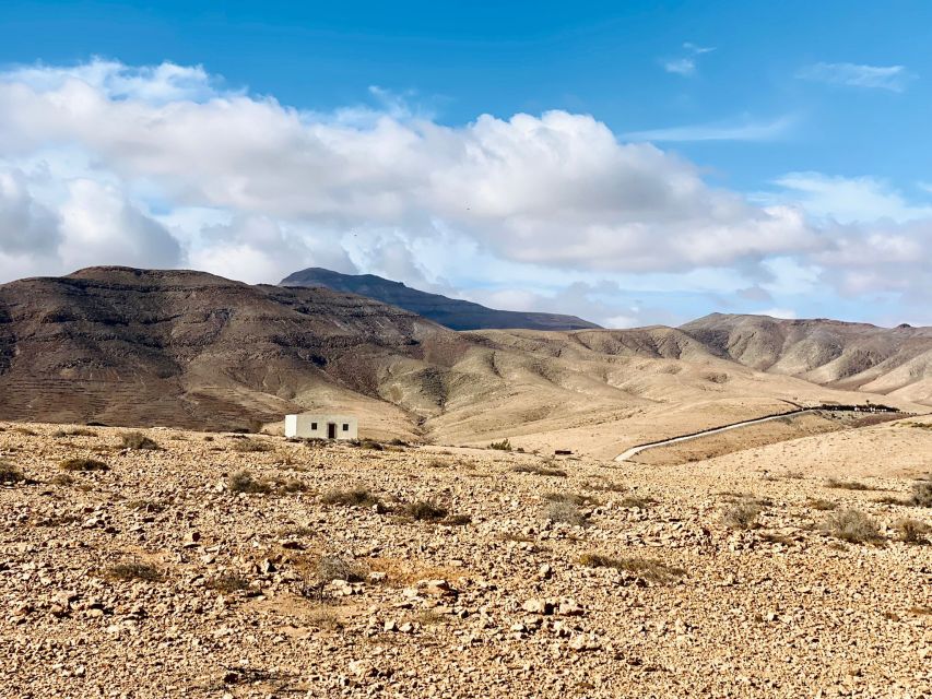 Fuerteventura: Guided Trekking Tour with Island Goats - Price and Value: Is $80 Fair for This Goat-Led Experience?