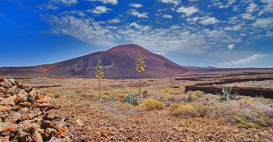 Fuerteventura: Trekking Tour Through the North of the Island - Key highlights worth marking on your map