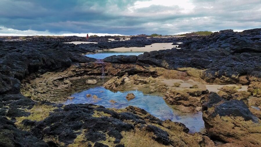 Fuerteventura: Trekking Tour Through the North of the Island - Should you book this north Fuerteventura trekking tour?