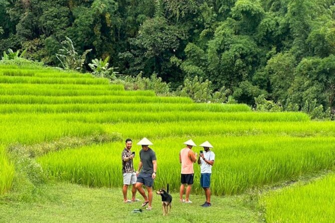 Full-Day Doi Inthanon National Park Tour with Trek and Pagodas - King’s and Queen’s Pagodas: Beautiful Views, Mixed Expectations
