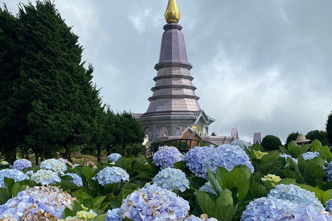 Full-Day Doi Inthanon National Park Tour with Trek and Pagodas - Hmong Market Lunch: Food You Can Plan Around
