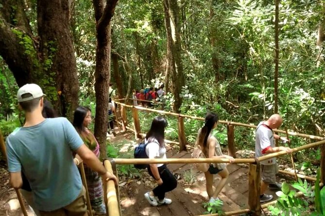 Full-Day Doi Inthanon National Park Tour with Trek and Pagodas - Pha Dok Siew Nature Trail Trek: Where the Day Becomes Real