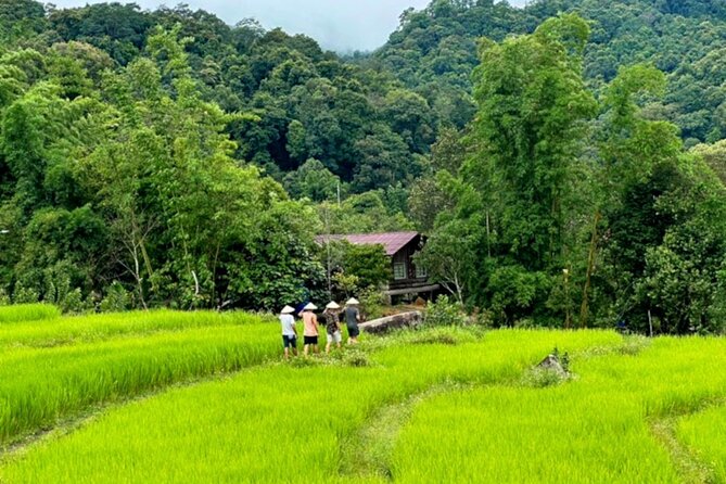 Full-Day Doi Inthanon National Park Tour with Trek and Pagodas - Wachirathan Falls: The Waterfall Stop That Ends the Outdoors Strong