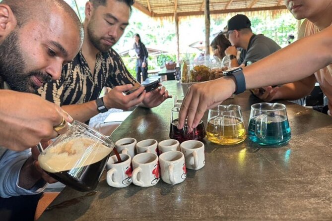Full-Day Doi Inthanon National Park Tour with Trek and Pagodas - Getting the Most From Your Guide: Nine, Pad Thai, and the English Factor