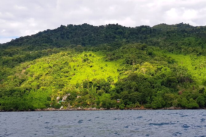 Full-day jungle trek on Nosy Komba (Lemur island) with the Black Lemur Sanctuary - Getting there: 9:00am start, pickup, and how the day is paced