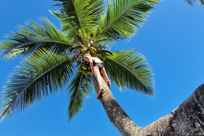 Full-day jungle trek on Nosy Komba (Lemur island) with the Black Lemur Sanctuary - What to expect from the guides (and why “private” matters here)