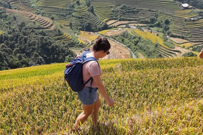 Full Day Private Trekking Mu Cang Chai - Why a Hmong guide makes Mu Cang Chai click