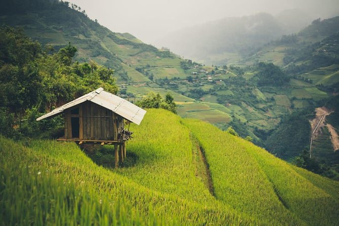 Full Day Private Trekking Mu Cang Chai - Headwater and waterfall moments: why the route feels more than scenic