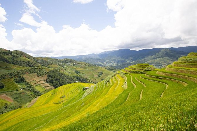Full Day Private Trekking Mu Cang Chai - Village life in motion: sewing, buffalo, and seasonal rice work