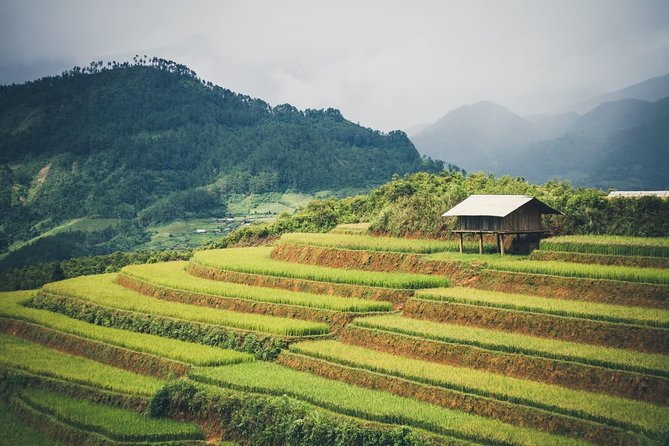 Full Day Private Trekking Mu Cang Chai - Fitness, weather, and how to pack for terrace steps