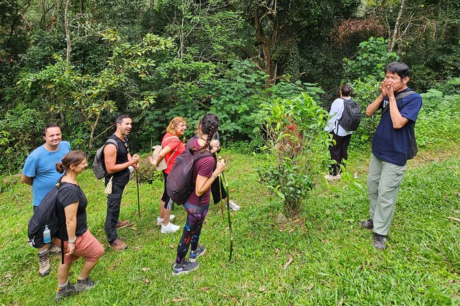 Full-Day Trekking and Sightseeing Tour in Mae Kampong - Mae Kampong Waterfall: The Hike, the Pools, and the Coffee Break