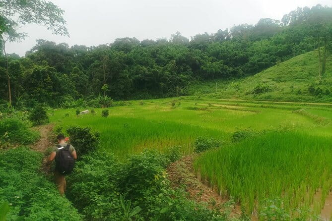 Full Day Trekking & bamboo cooking Tour in Chiang Rai - How This 9+ Hour Trek Mixes Forest Hills, Villages, and Hot Springs