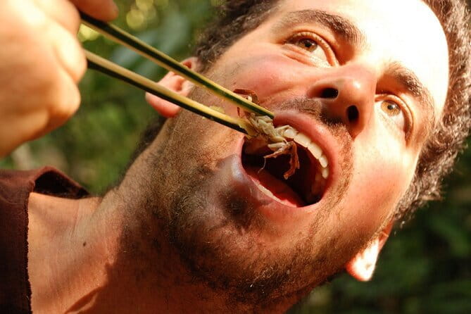 Full Day Trekking & bamboo cooking Tour in Chiang Rai - Mueang Chiang Rai Park to Wat Pong Nam Ron: Trekking Into the Bamboo Forest