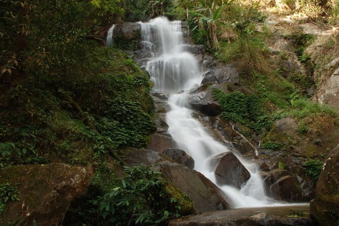 Full Day Trekking & bamboo cooking Tour in Chiang Rai - Getting Into the Mountains: Pickup Timing and the Doi Hang Start
