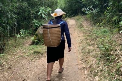 Full Day Trekking in Sapa - 8:00 am pickup and how the day is paced