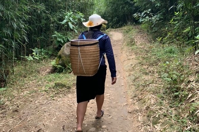 Full Day Trekking in Sapa - 8:00 am pickup and how the day is paced