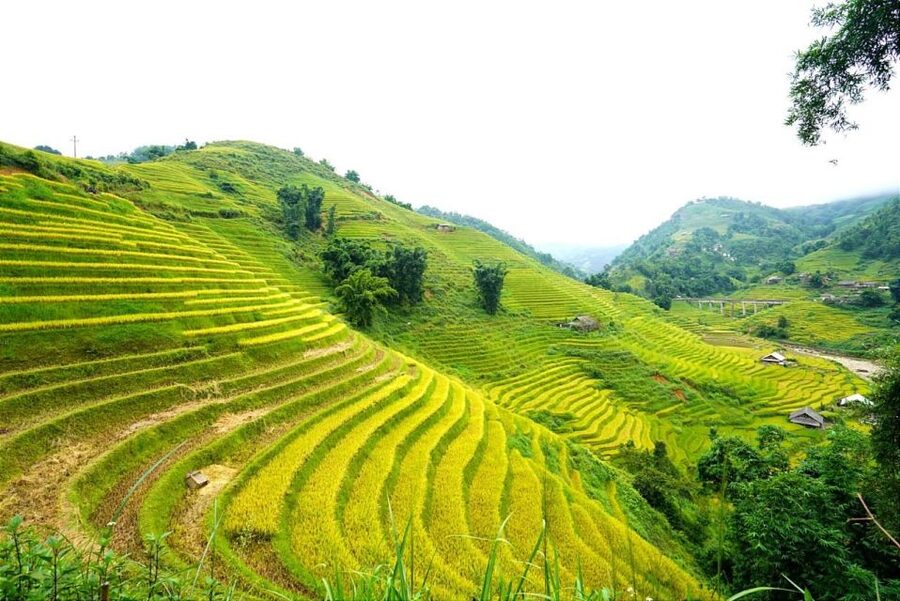 Full Day Trekking Lao Chai-Ta Van and Cat Cat Village - What you’re really signing up for: a full-day hike with local rhythm
